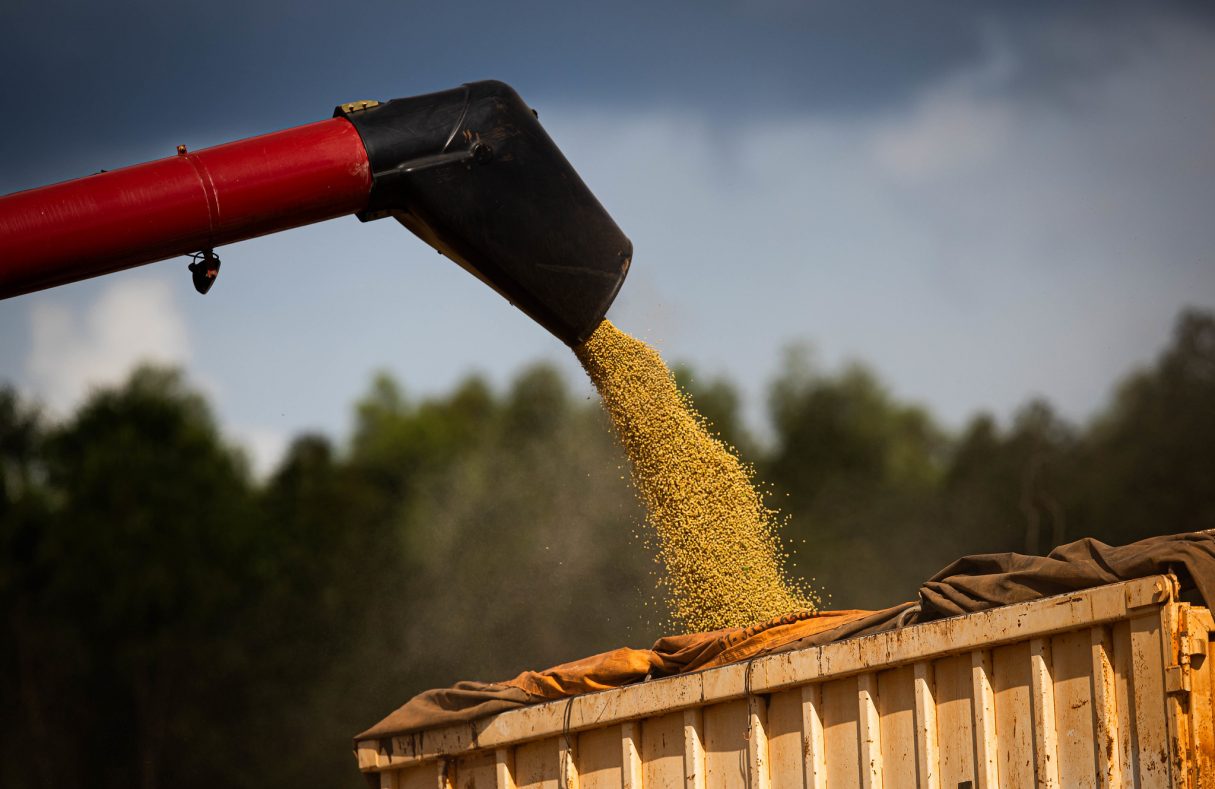 Agronegócio: O complexo soja liderou a lista de produtos mais vendidos pelo agro de Goiás, com US$ 876,5 milhões. Foto: Wenderson Araujo/CNA