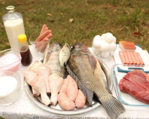 Com inscrições abertas, Encontro tratará de temas como agroindústria artesanal e produção de bebidas. Foto: Debora Cronemberger Mendes Pereira