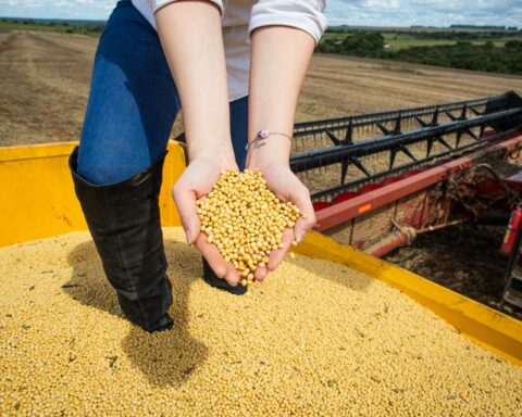 Produção: As 28,1 milhões de toneladas colocam Goiás como terceiro maior produtor nacional de grãos do país. Foto: Divulgação