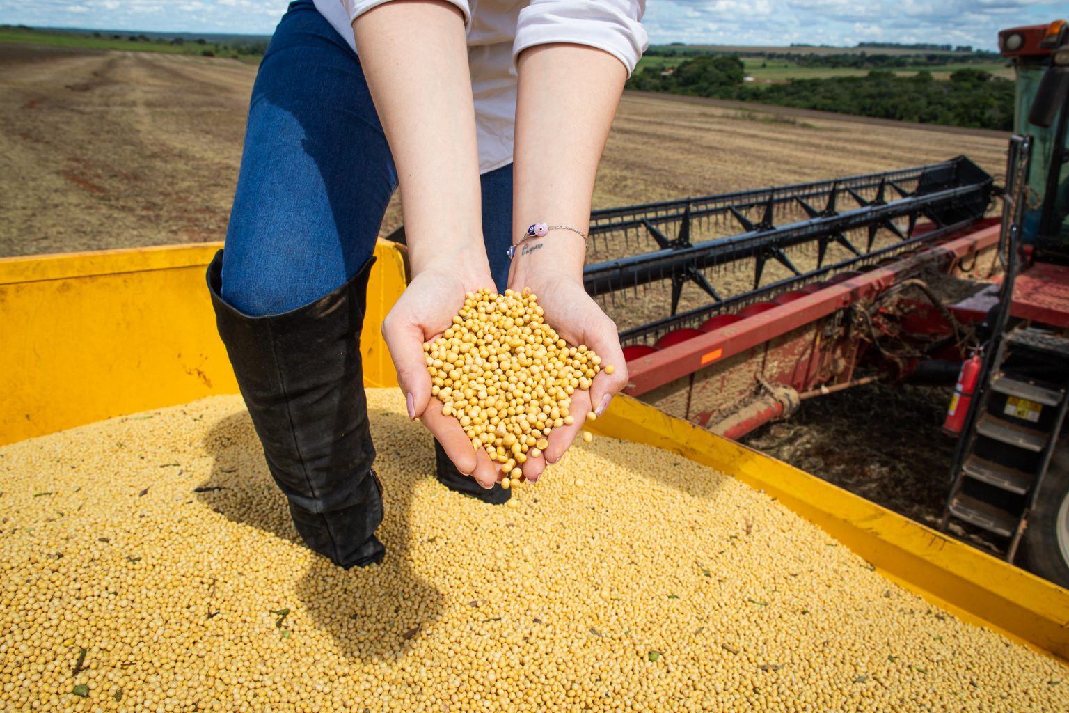 Produção: As 28,1 milhões de toneladas colocam Goiás como terceiro maior produtor nacional de grãos do país. Foto: Divulgação