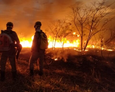 Número de incêndio no DF aumentou 16,72%.