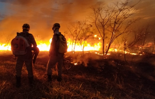 Número de incêndio no DF aumentou 16,72%.