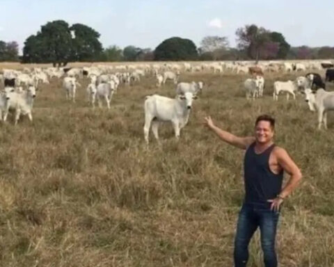 Fazenda de Leonardo é invadida por avião carregado de drogas