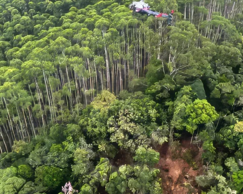 Vale do Paraíba