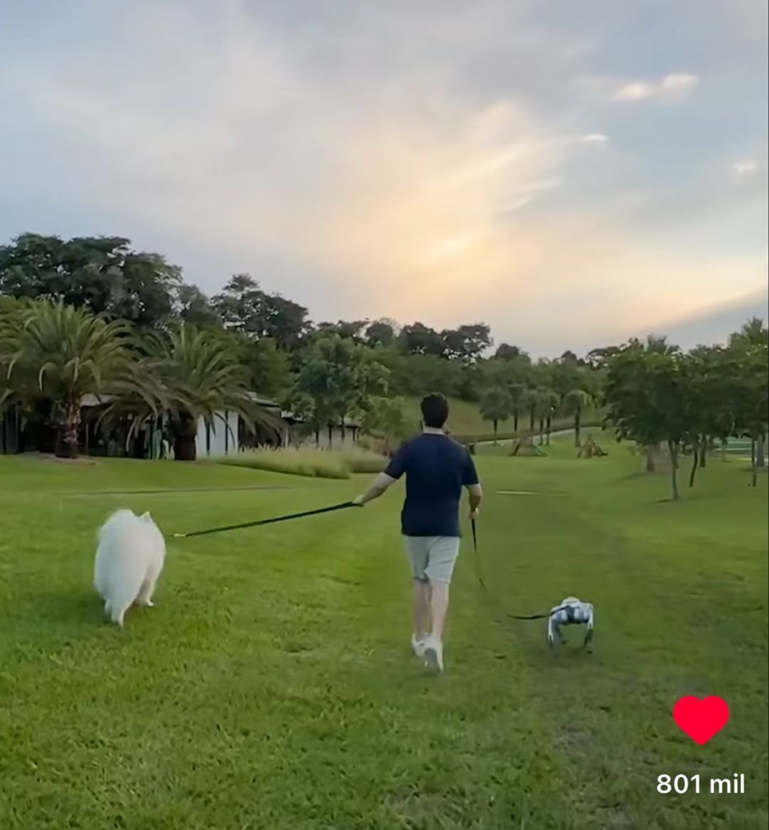 Alok passeia com cão-robô