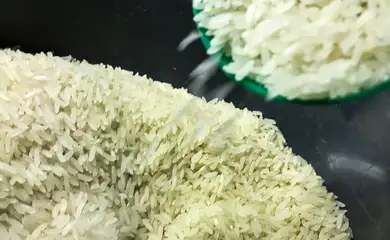 Conab faz leilão de arroz