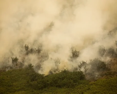 Queimadas no Pantanal