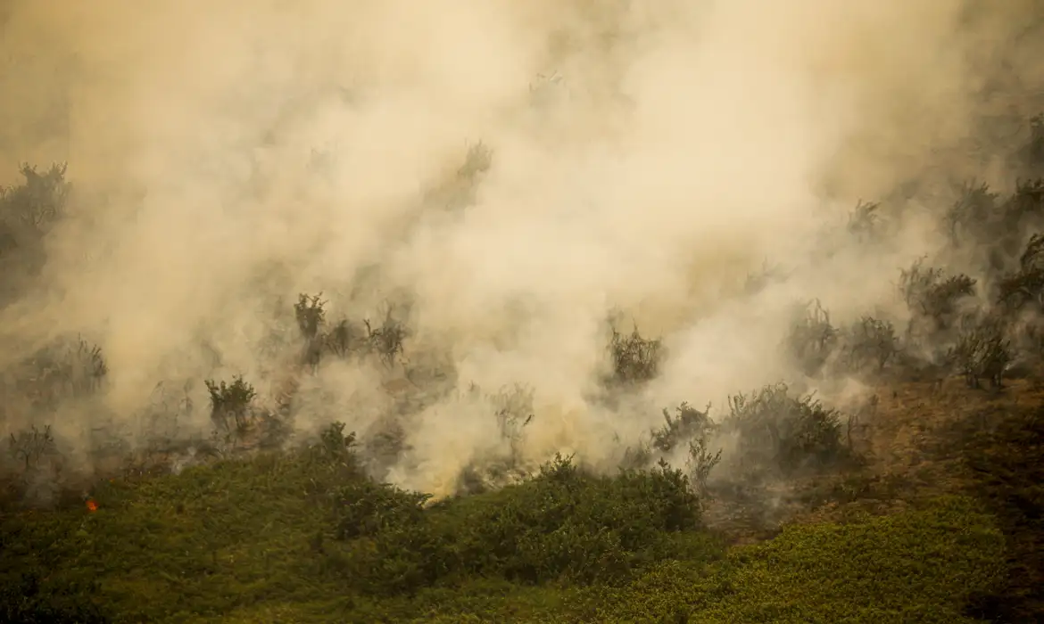 Queimadas no Pantanal