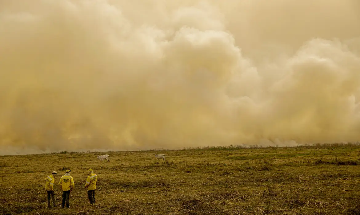 Incêndios no Pantanal