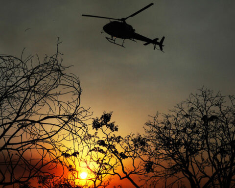 incêndios no Parque Nacional de Brasília causam perdas significativas.