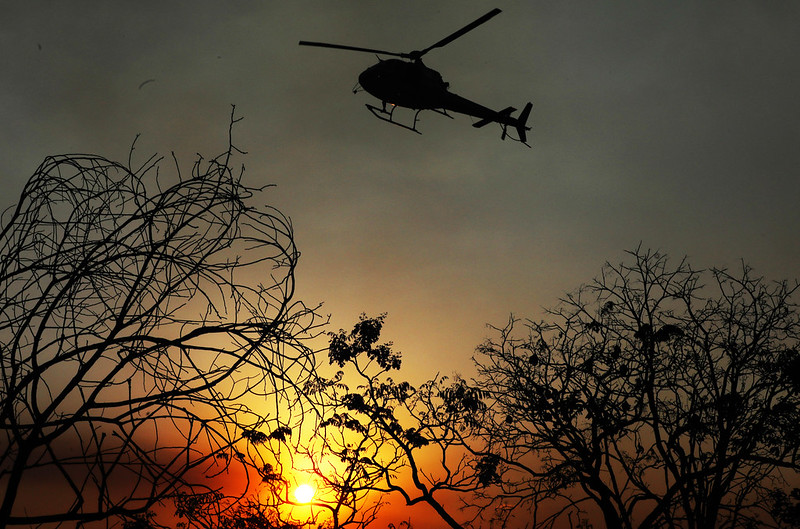 incêndios no Parque Nacional de Brasília causam perdas significativas.