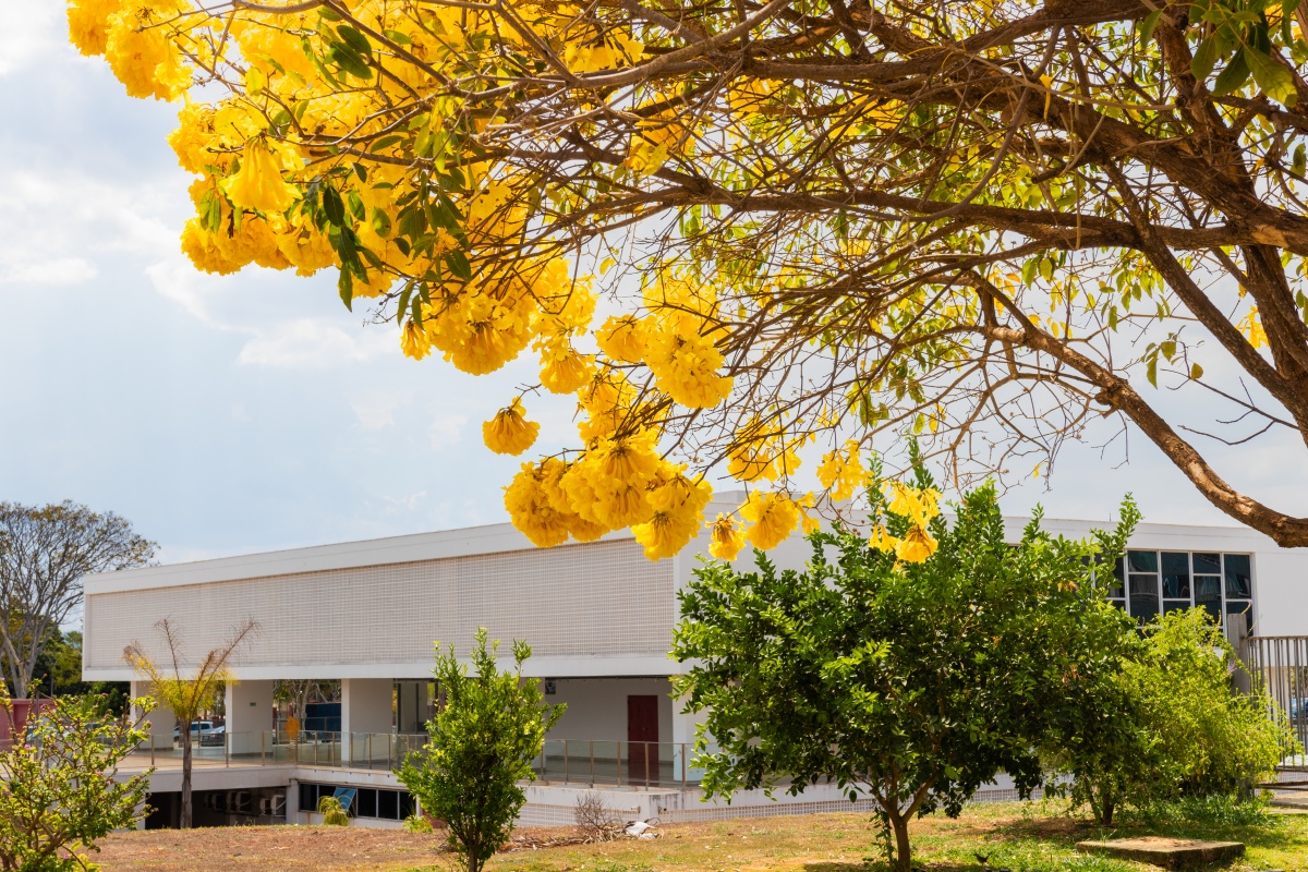 MAB Educativo promove acessibilidade e diversão na Primavera dos Museus