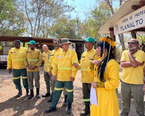 Brigadistas florestais estão na linha de frente da proteção dos nossos biomas”, diz Célia Xakriabá sobre projeto de lei que regulamenta a profissão