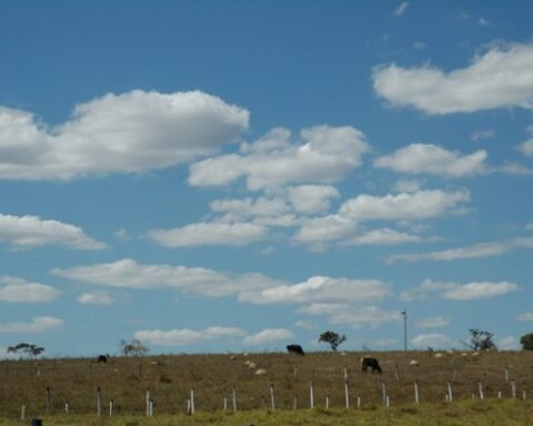 Universidade promove simpósio para debate de políticas públicas para preservação do cerrado e sustentabilidade no Centro-Oeste