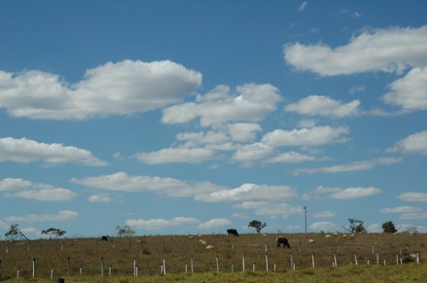 Universidade promove simpósio para debate de políticas públicas para preservação do cerrado e sustentabilidade no Centro-Oeste