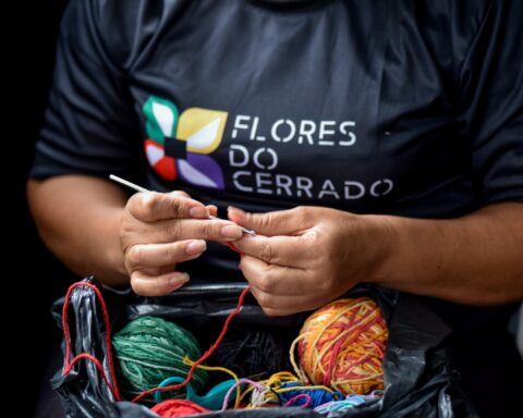 Projeto Flores do Cerrado está com inscrições abertas para capacitação gratuita de mulheres em Taguatinga